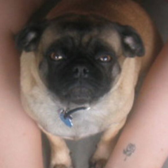 Meet your Posher, Carrie - Picture 11 of 13